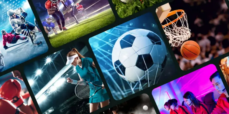 Hội viên đăng ký nhận tiền cứu trợ khi cược thua